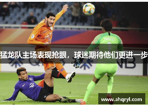 猛龙队主场表现抢眼，球迷期待他们更进一步